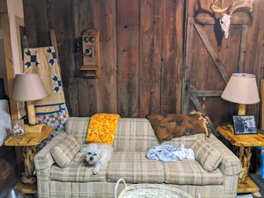 A cozy living room wall featuring a custom pet portrait canvas of a dog.