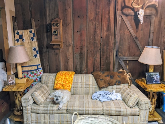 A cozy living room scene featuring a small dog resting on a plaid sofa. The background includes a wooden wall with rustic decor, including a vintage telephone and a mounted antler skull. There are two lamps with beige lampshades on wooden side tables flanking the sofa. Quilted blankets are draped over the sofa and a piece of wooden furniture in the corner. A framed photograph and various household items are also visible.