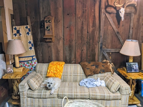 A cozy living room scene featuring a small dog resting on a plaid sofa. The background includes a wooden wall with rustic decor, including a vintage telephone and a mounted antler skull. There are two lamps with beige lampshades on wooden side tables flanking the sofa. Quilted blankets are draped over the sofa and a piece of wooden furniture in the corner. A framed photograph and various household items are also visible.