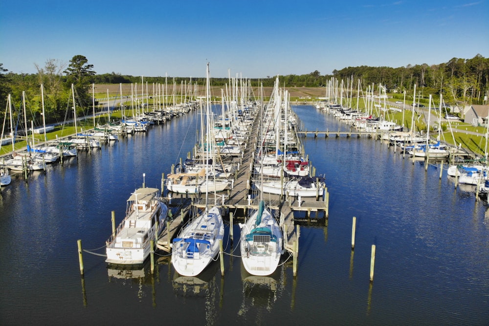 white and blue boats on body of water during daytime