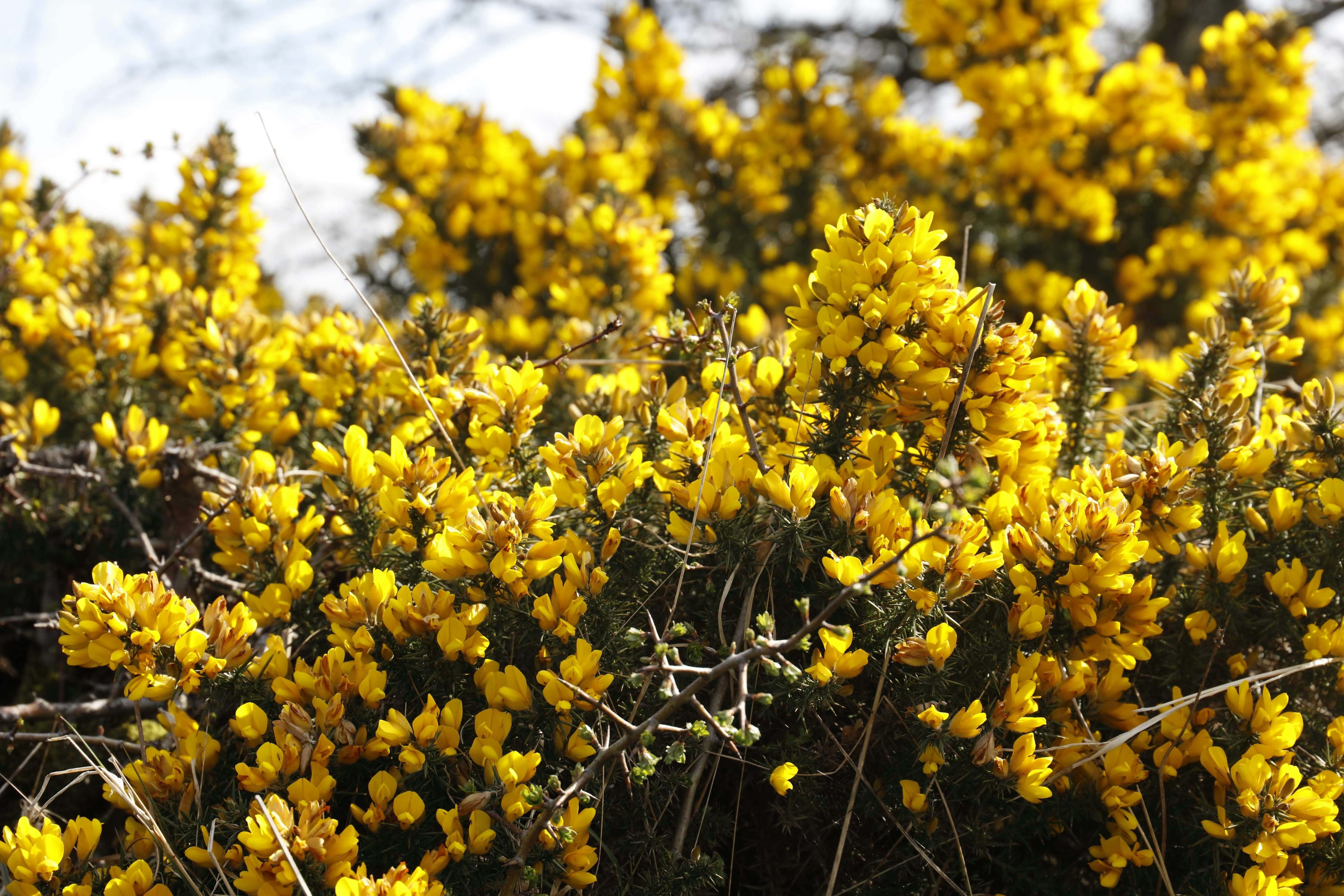 Photo by magda_smolen