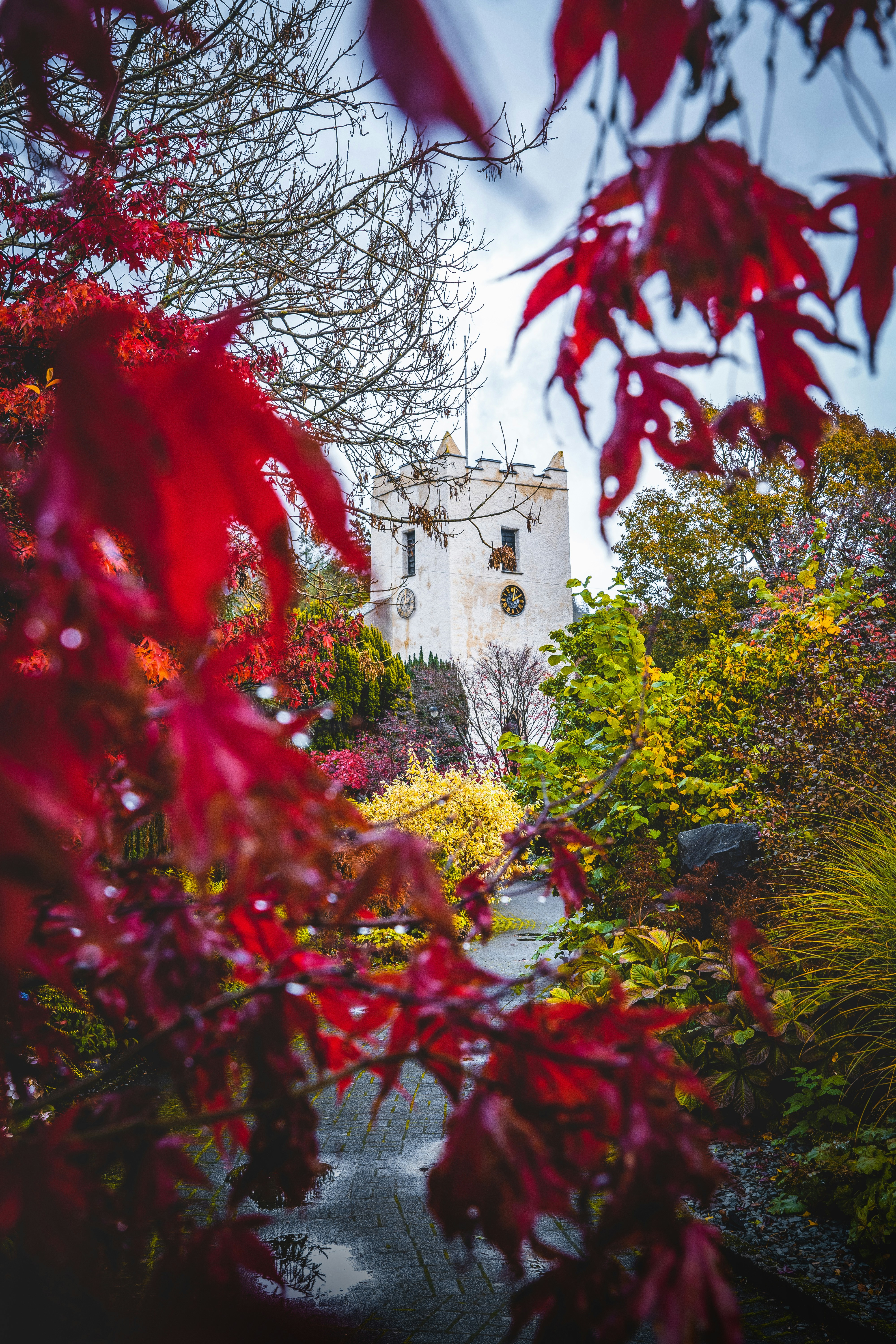 red flowers near green trees and brown building during daytime
