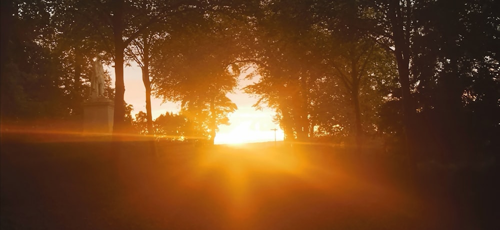 tramonto del sole sull'albero e sullo specchio d'acqua