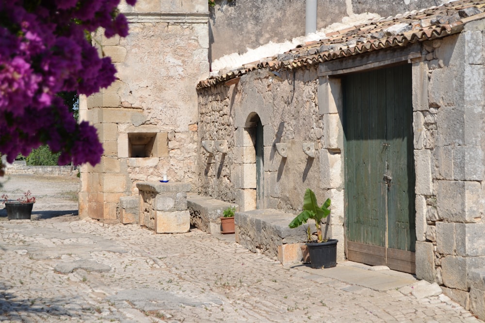 Porta di legno verde vicino al fiore viola durante il giorno