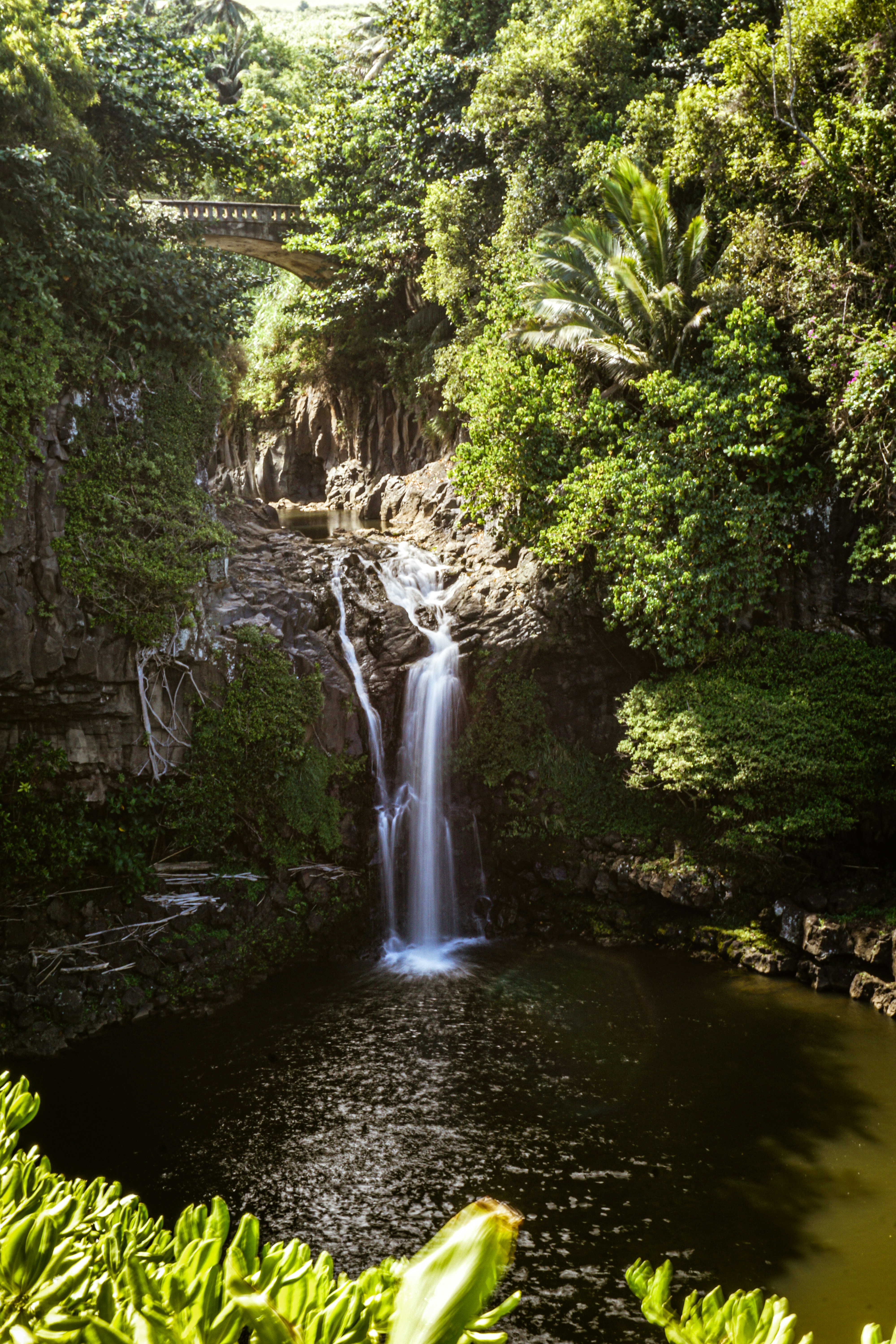 Photo by knut____robinson