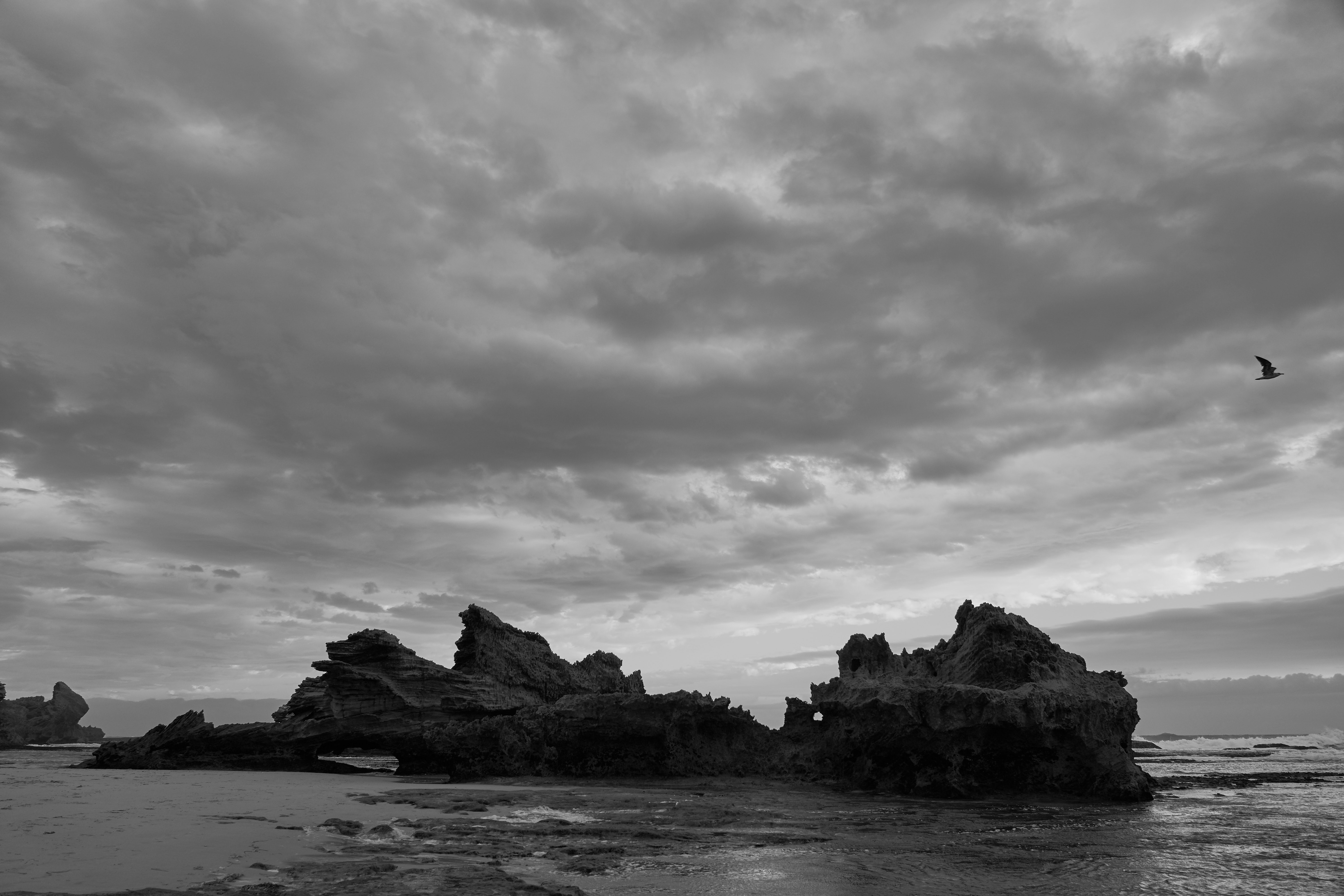 Photo by wolfgang_hasselmann