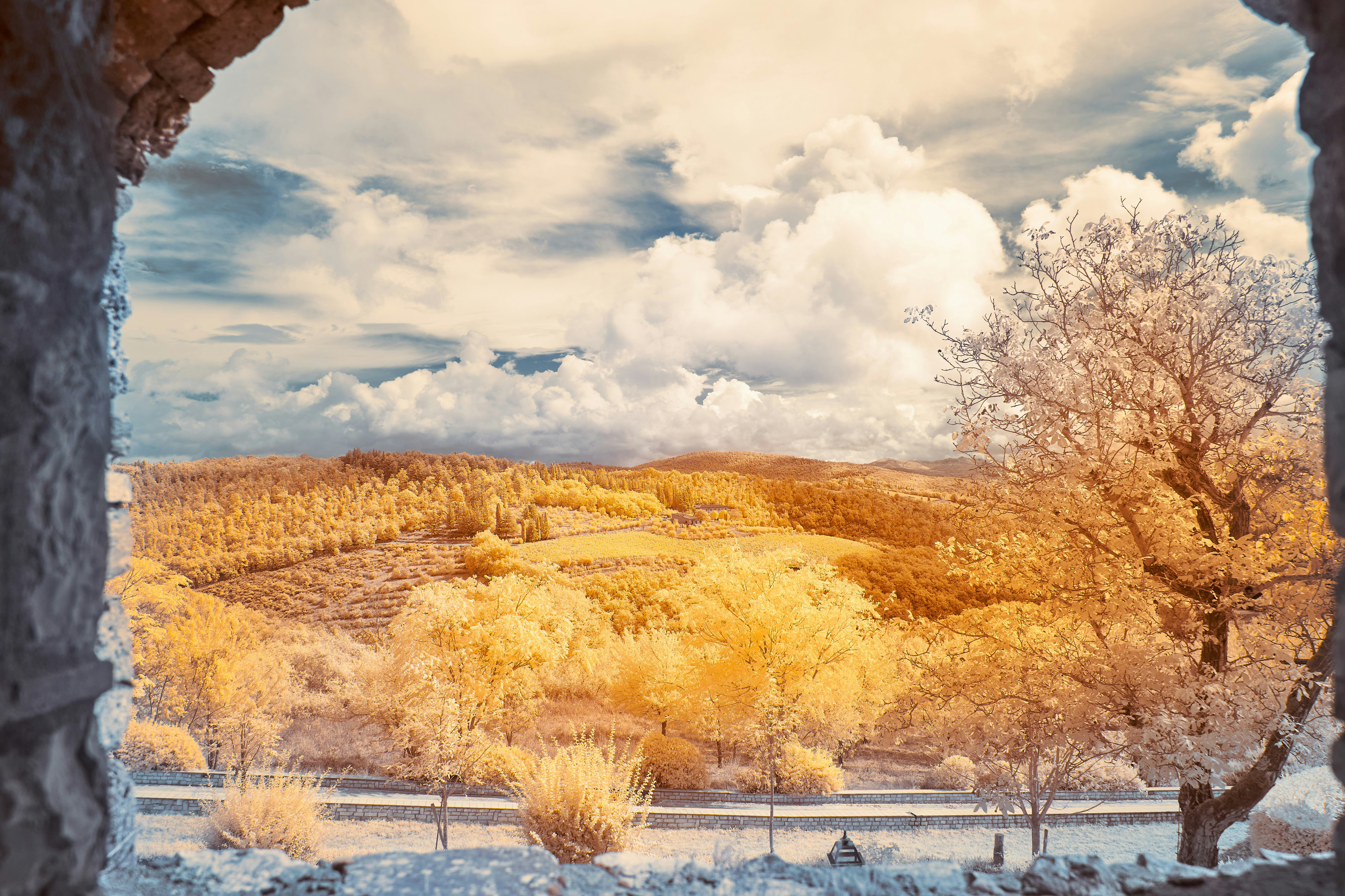 Photo by wolfgang_hasselmann