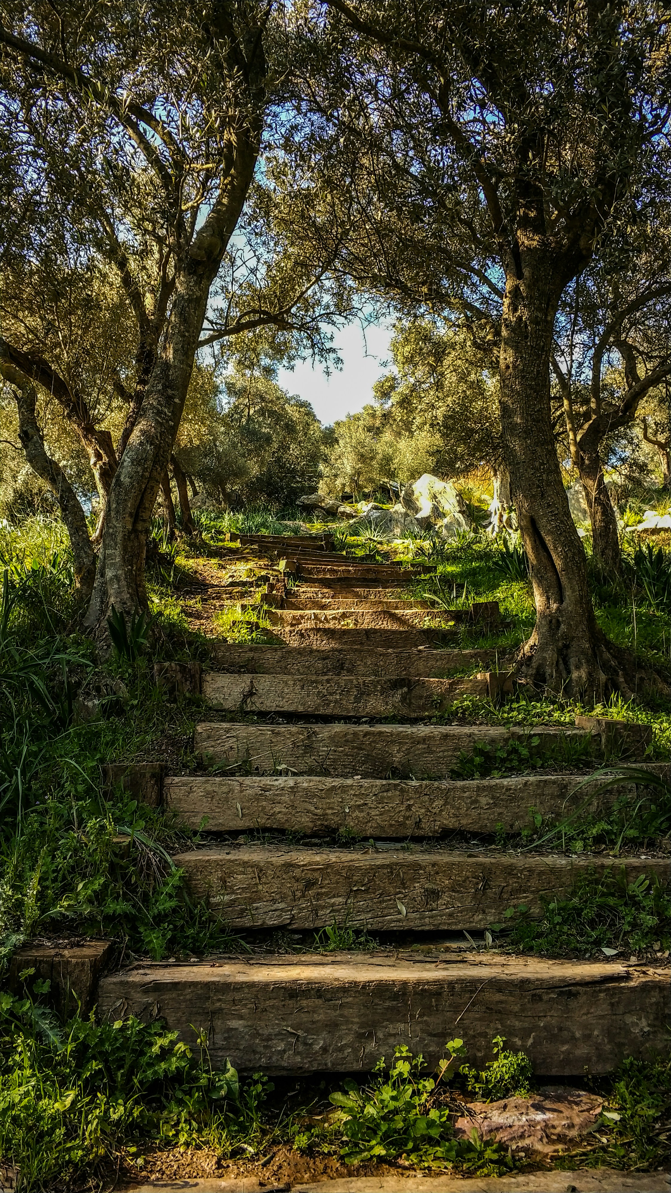 Photo by dmrmuhammed