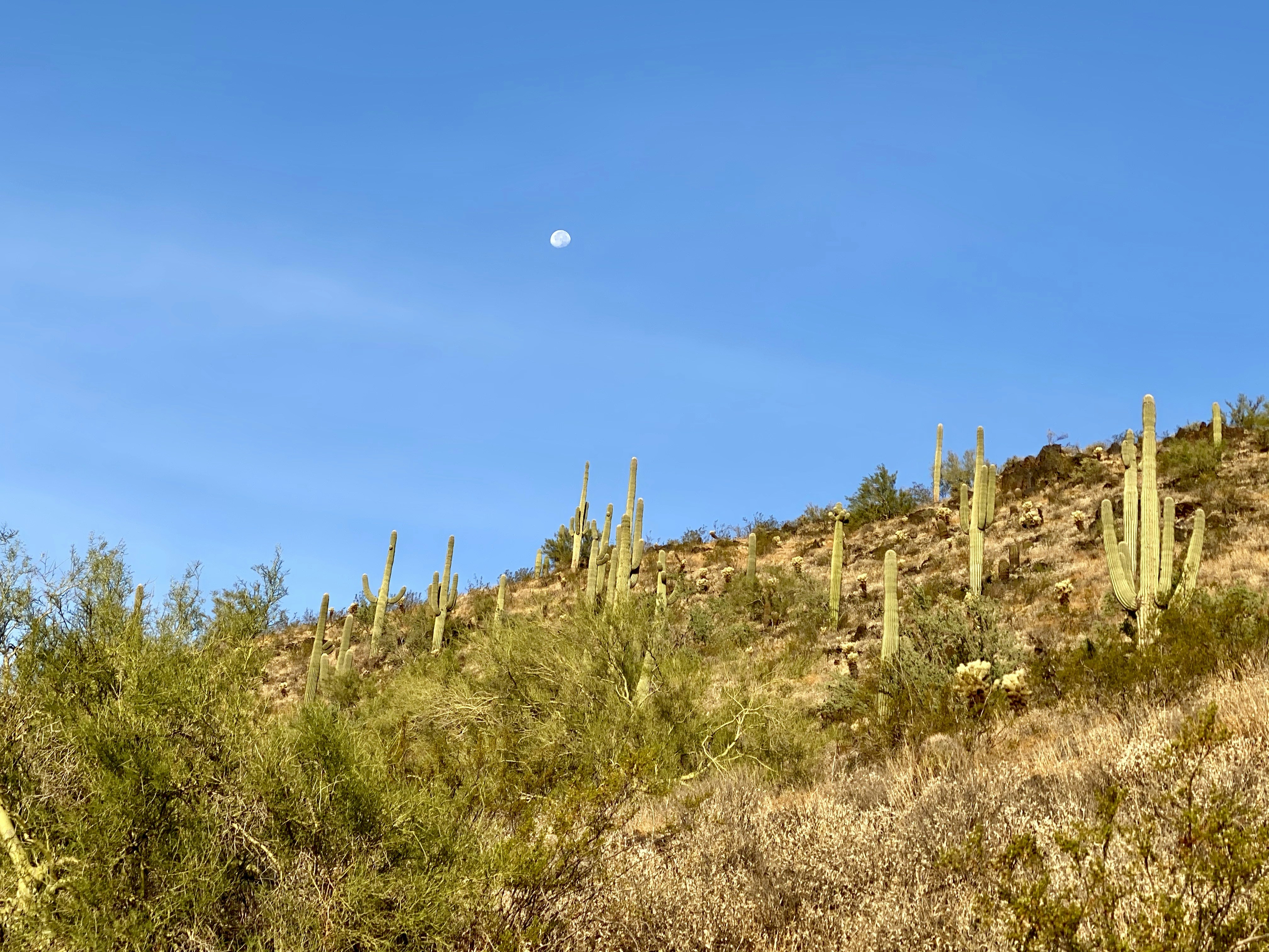 Photo by doc_scurlock