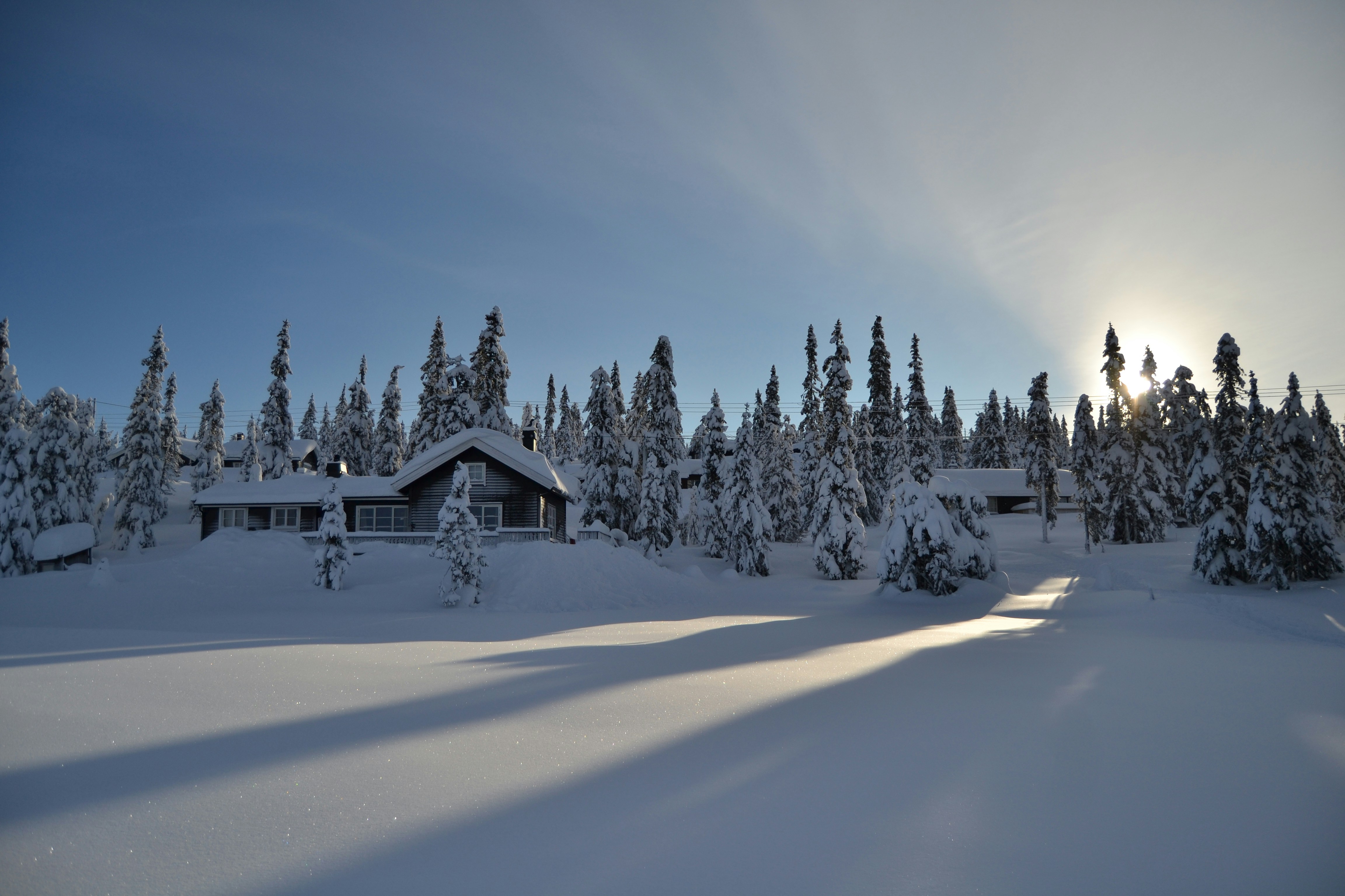 Photo by carloalbertoburato