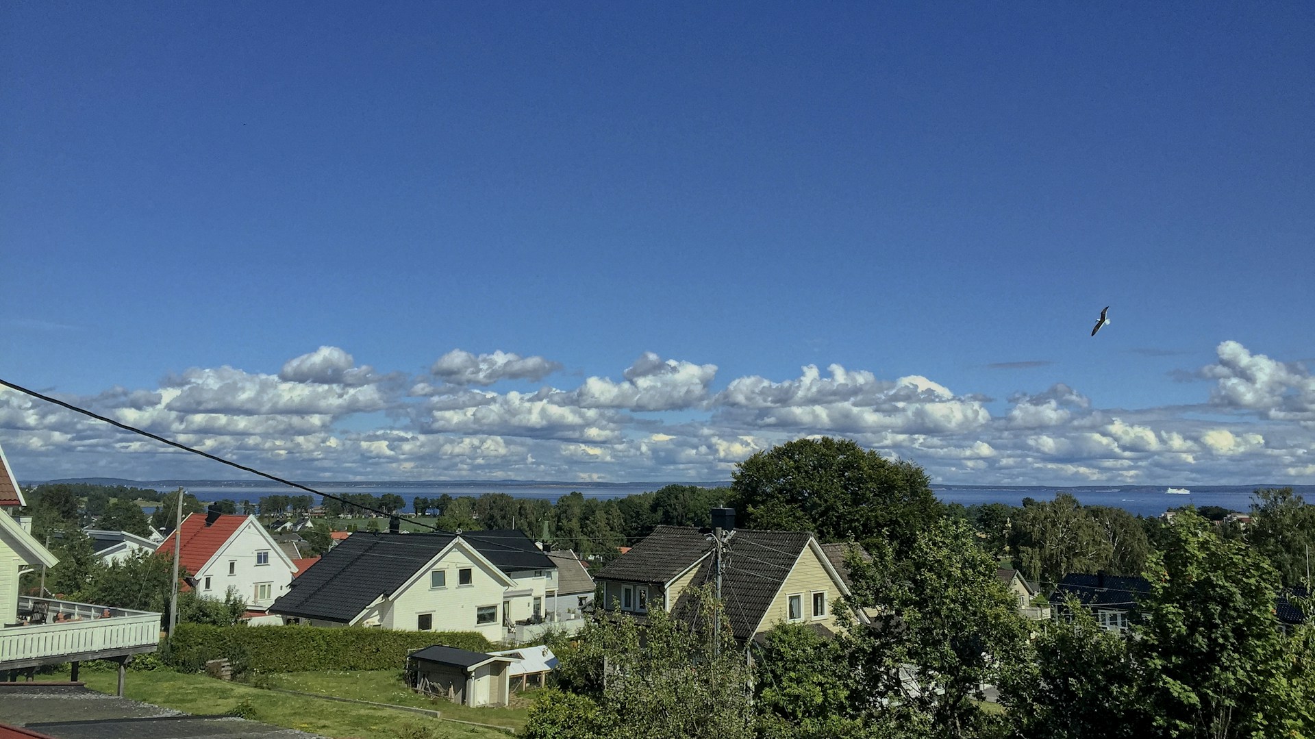 white and brown house near green trees under blue sky during daytime