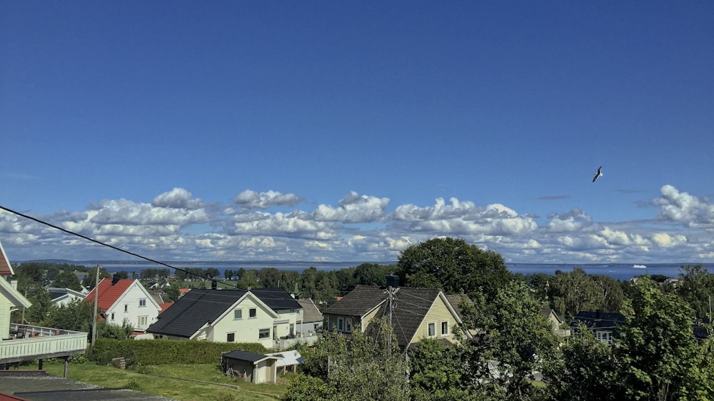 white and brown house near green trees under blue sky during daytime