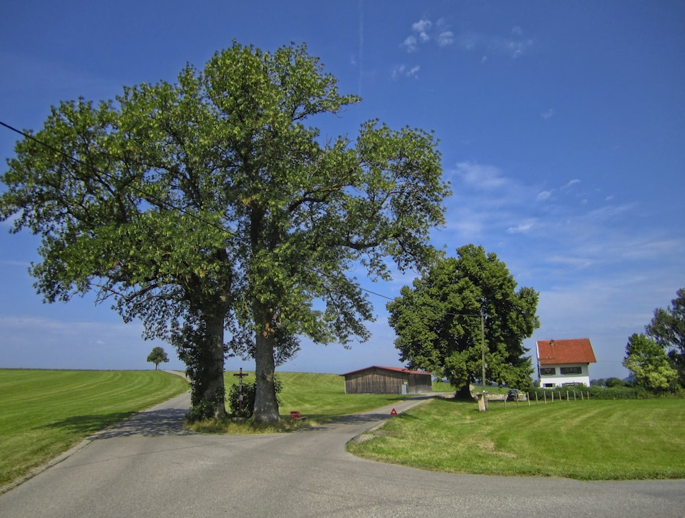 green tree near red house during daytime