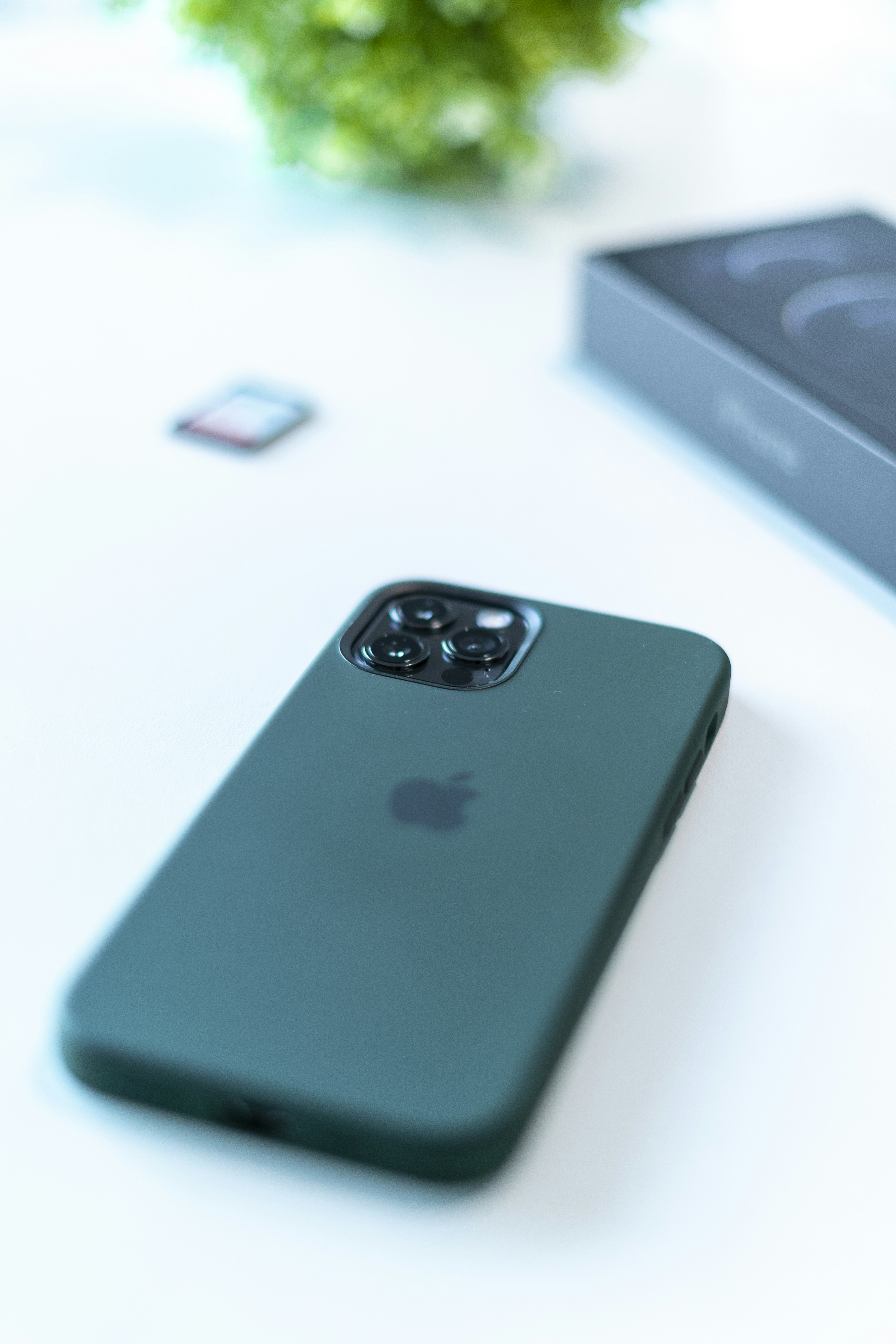 Photo by robinvangeenen