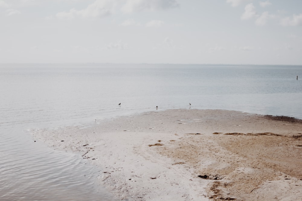 brown sand near body of water during daytime