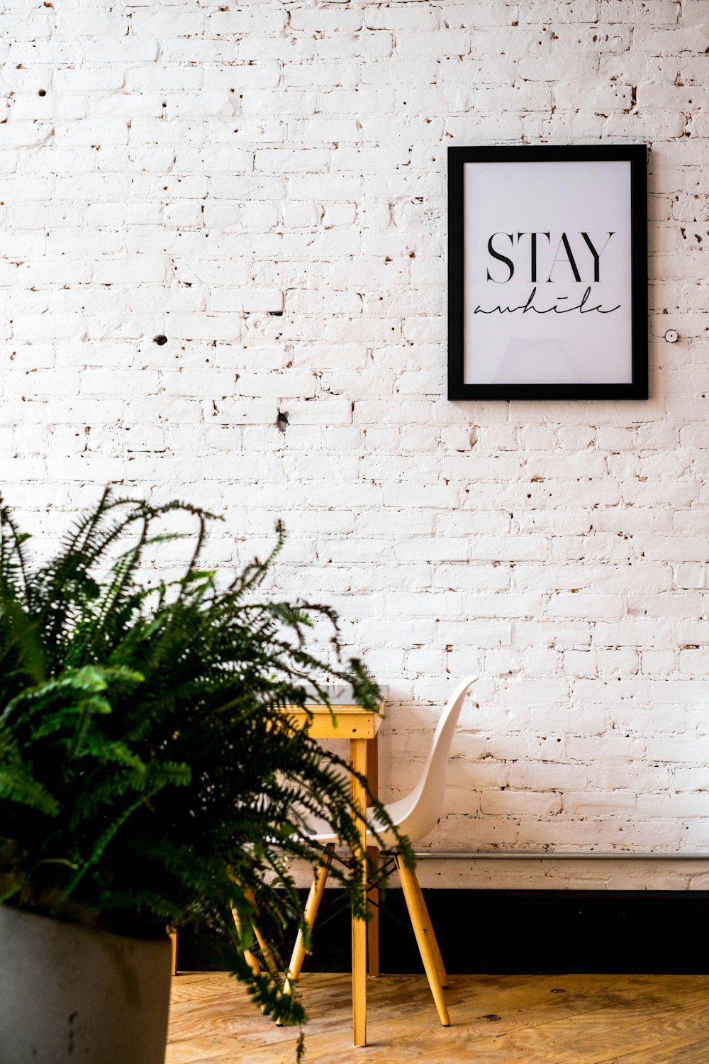 green plant beside white brick wall