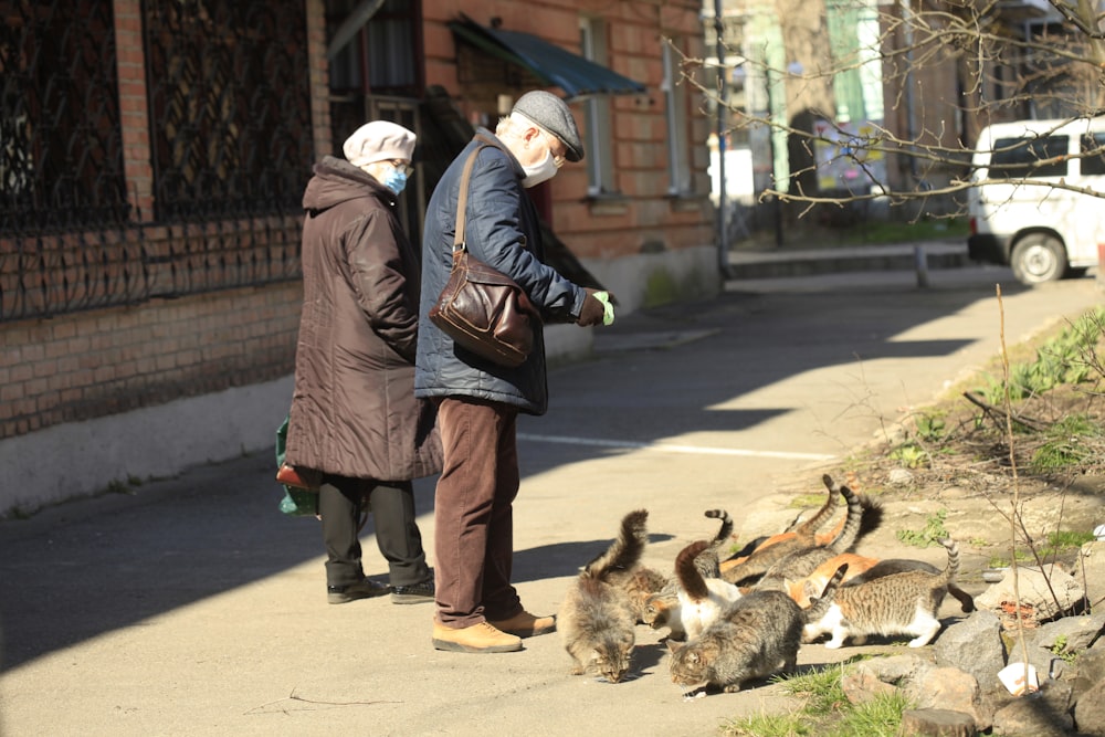 woman in black leather jacket and blue denim jeans standing beside brown and white cat during