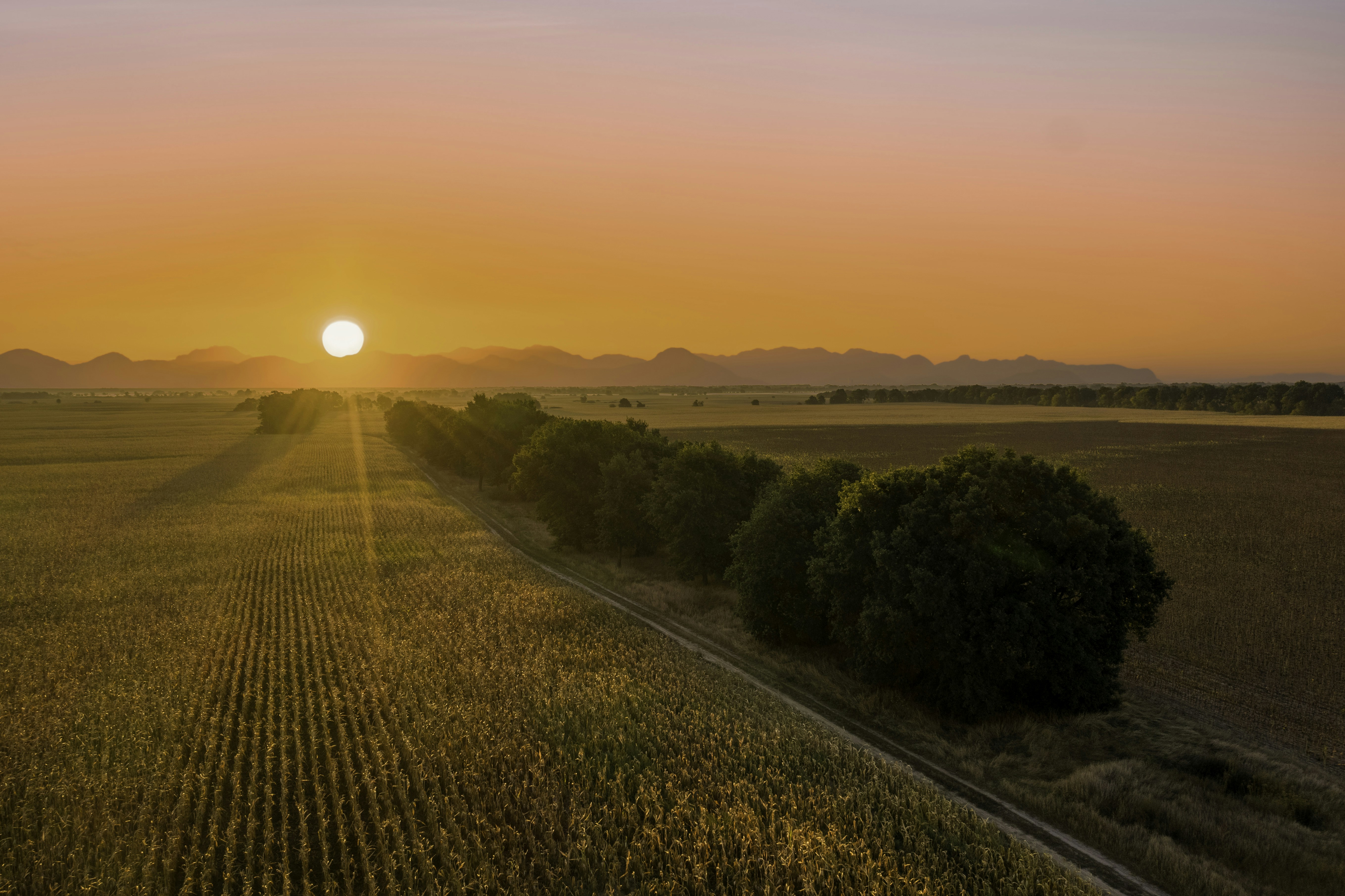 Picture Link Deleted!