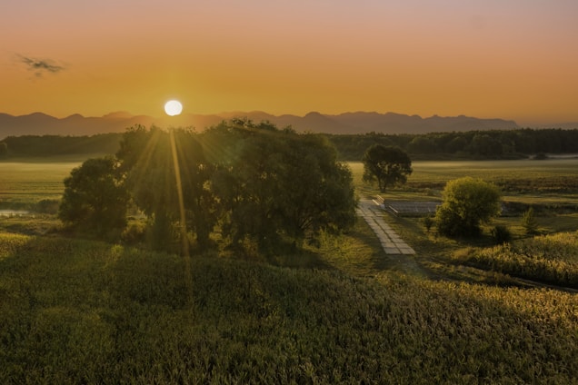 A serene landscape at sunrise with the sun rising above a distant mountain range, casting golden light over a lush green field. Trees and a narrow path lead into the distance, creating a peaceful and idyllic scene.
