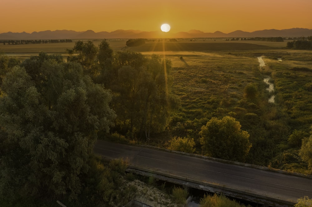 green trees on the side of the road during sunset