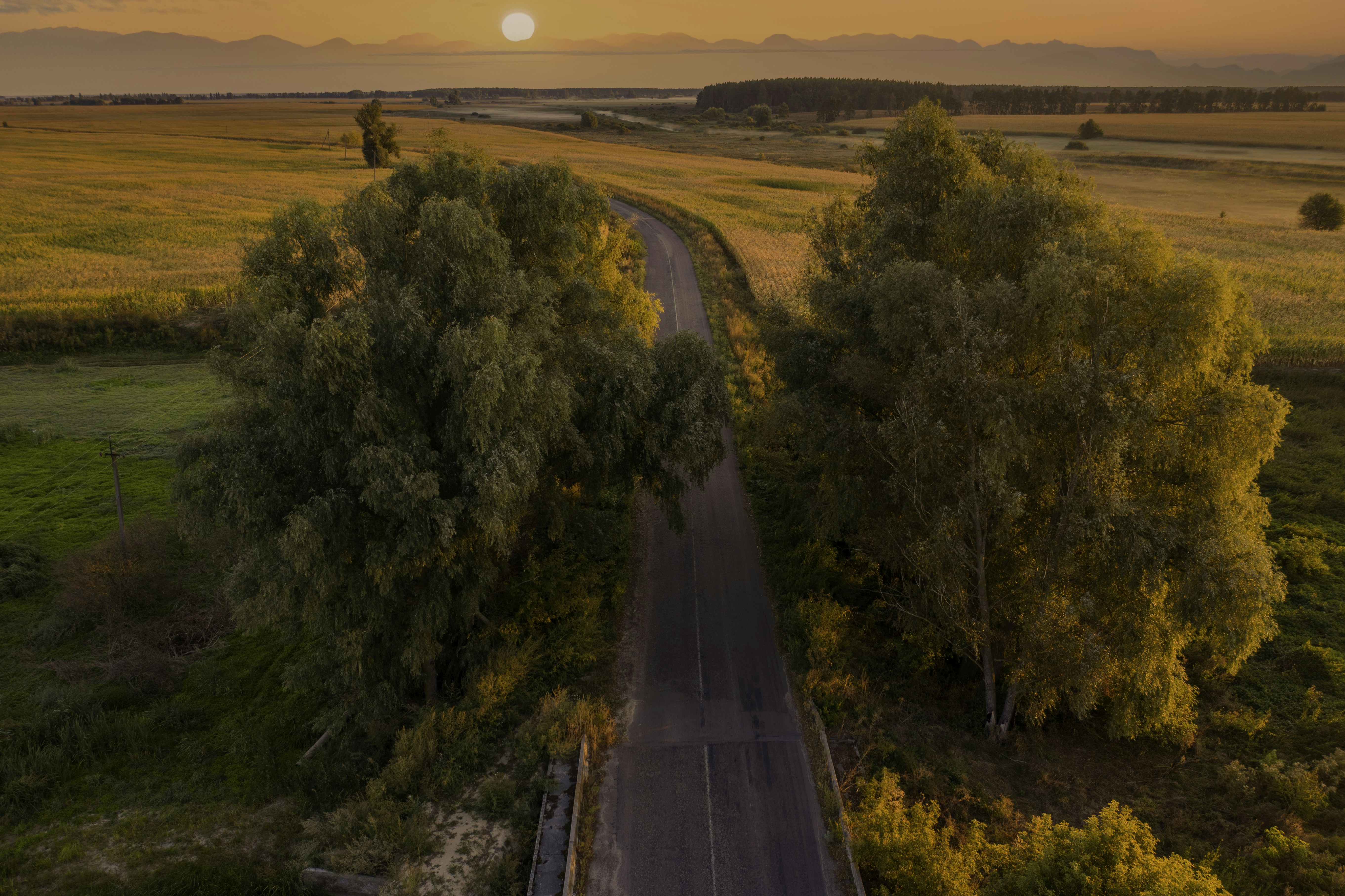 Photo by photofixation