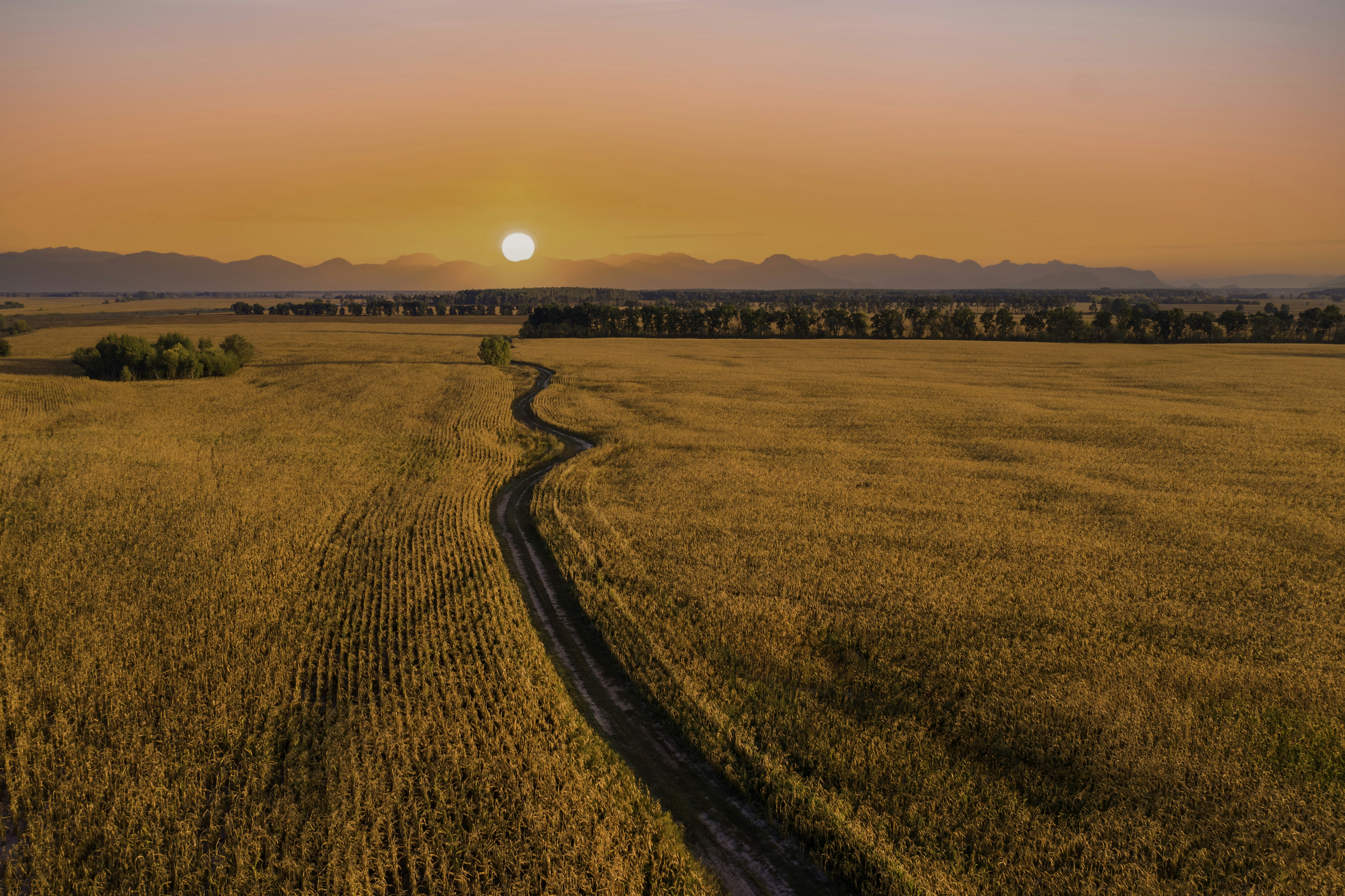 Photo by photofixation