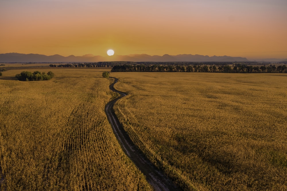 brown field under orange sky during sunset