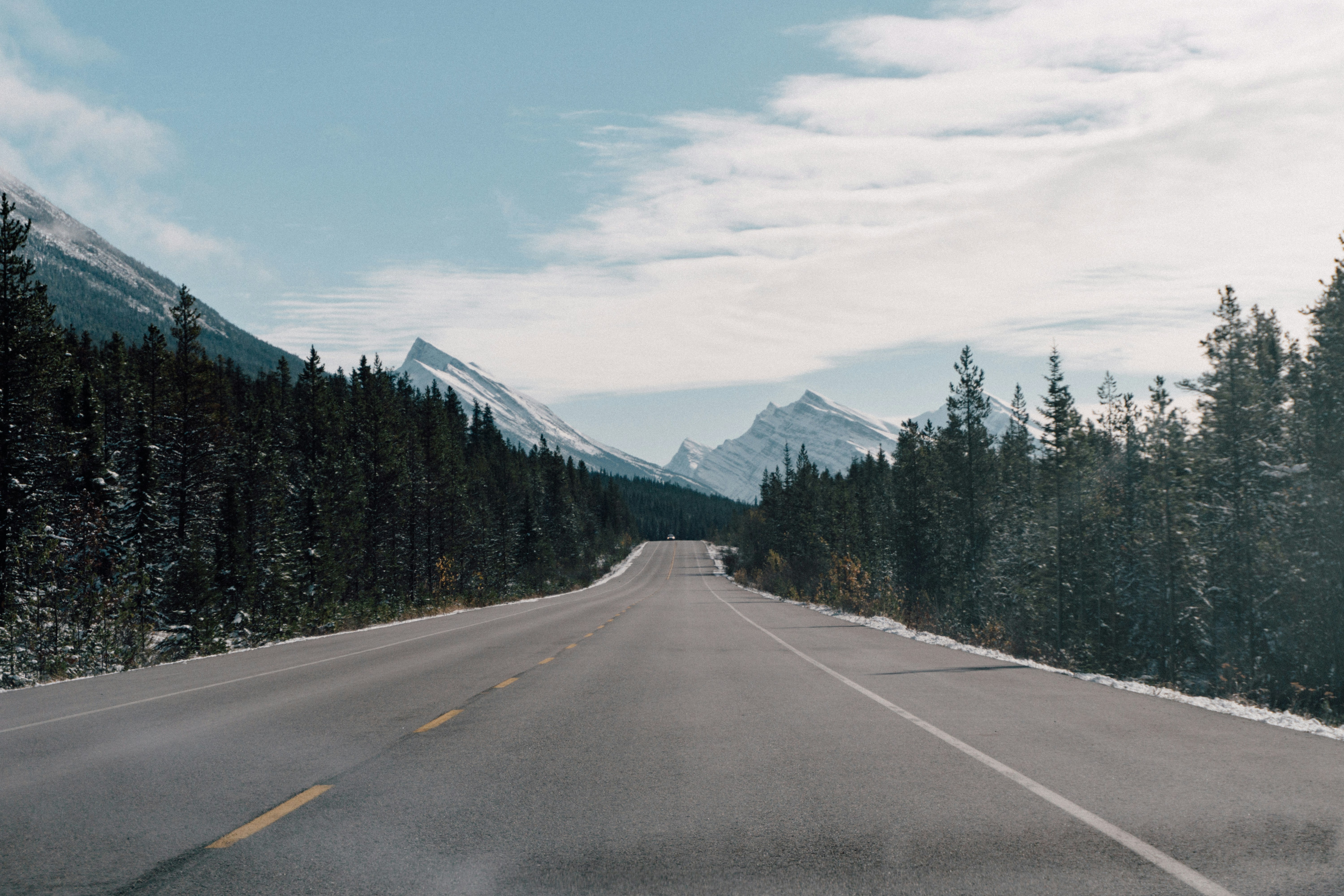 Photo by milesloewen