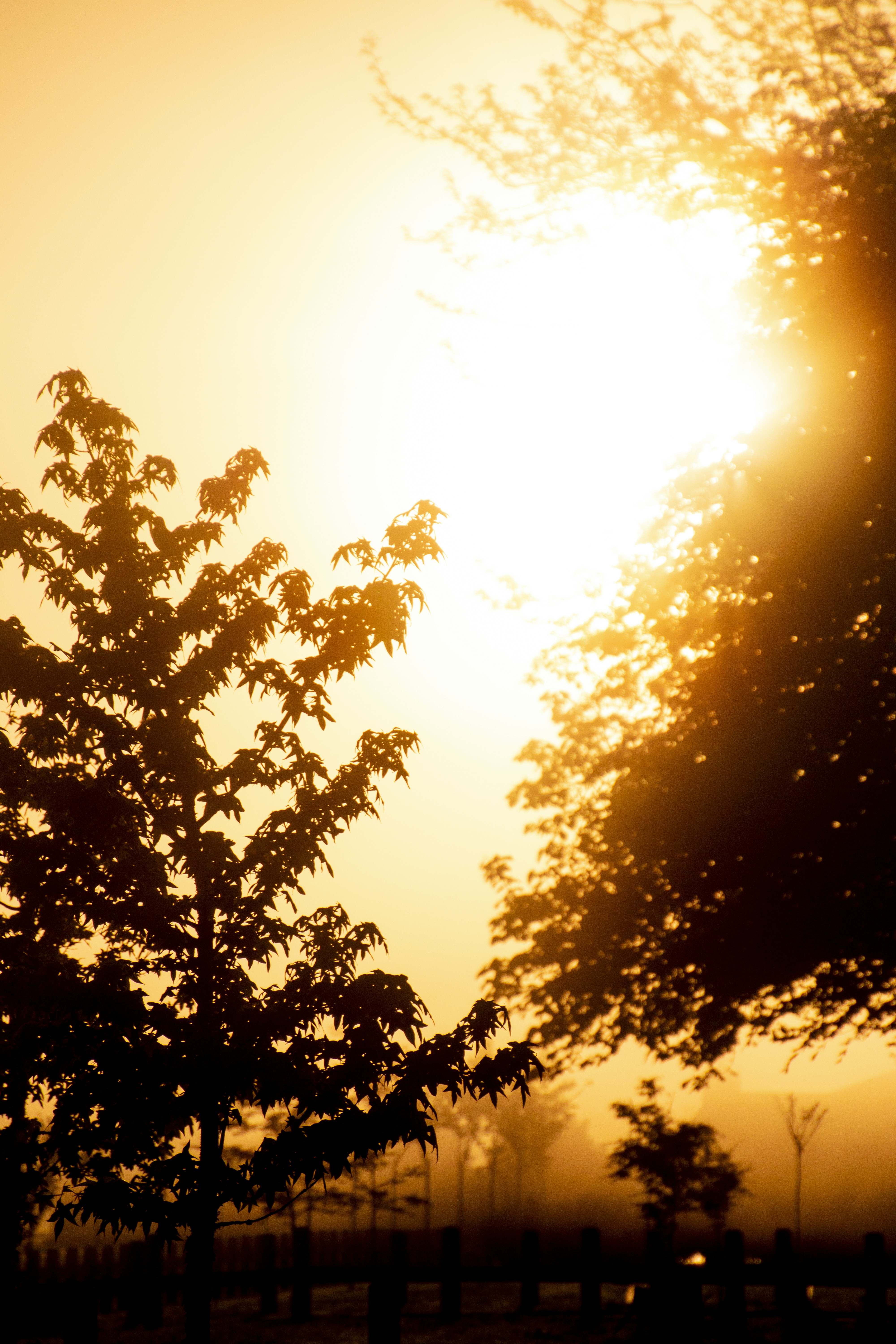 Photo by jamesthethomas5