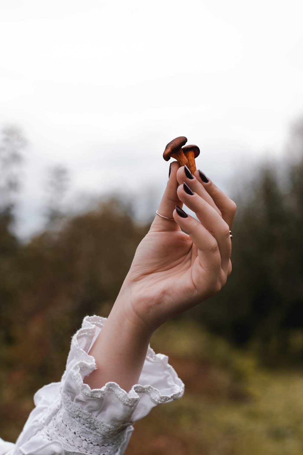 person holding brown plastic tool