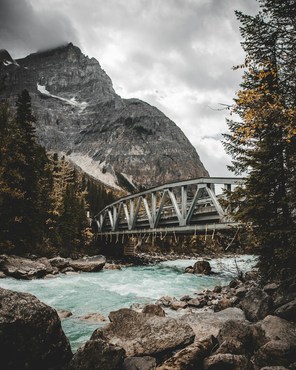 green trees near bridge and mountain during daytime