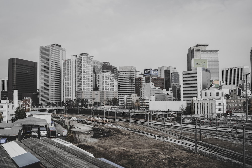 white and gray city buildings during daytime