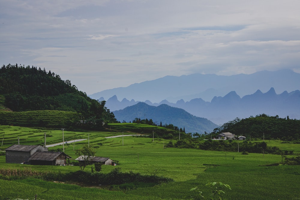 green grass field under cloudy sky during daytime