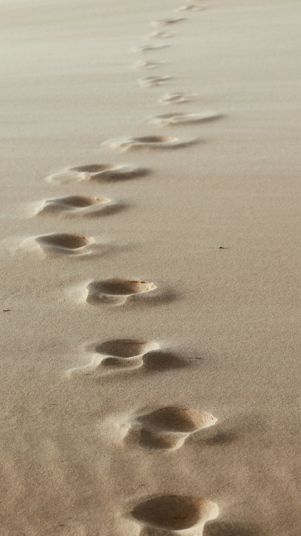 brown sand with heart shaped petals