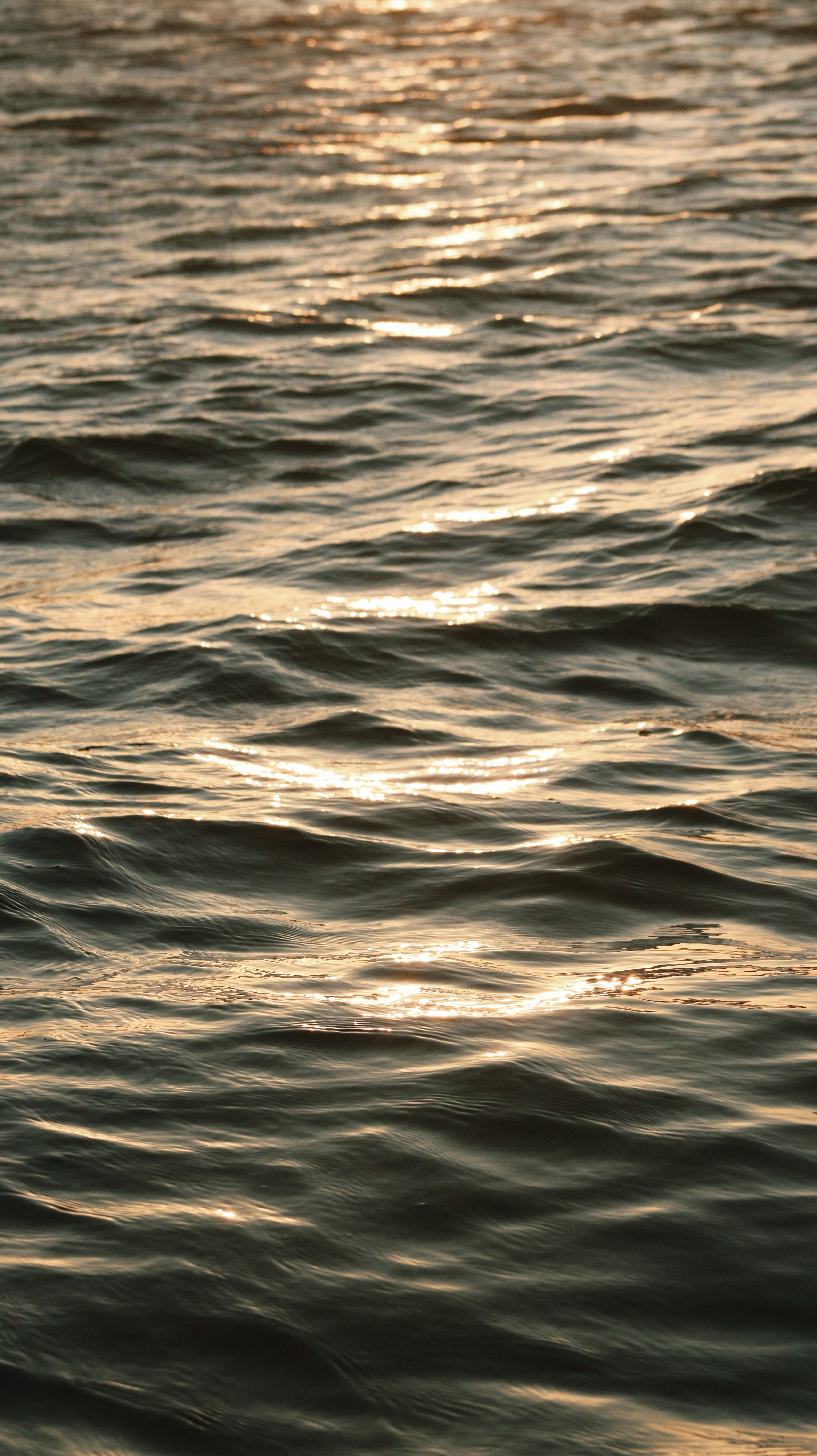 Photo by nathanareboucas