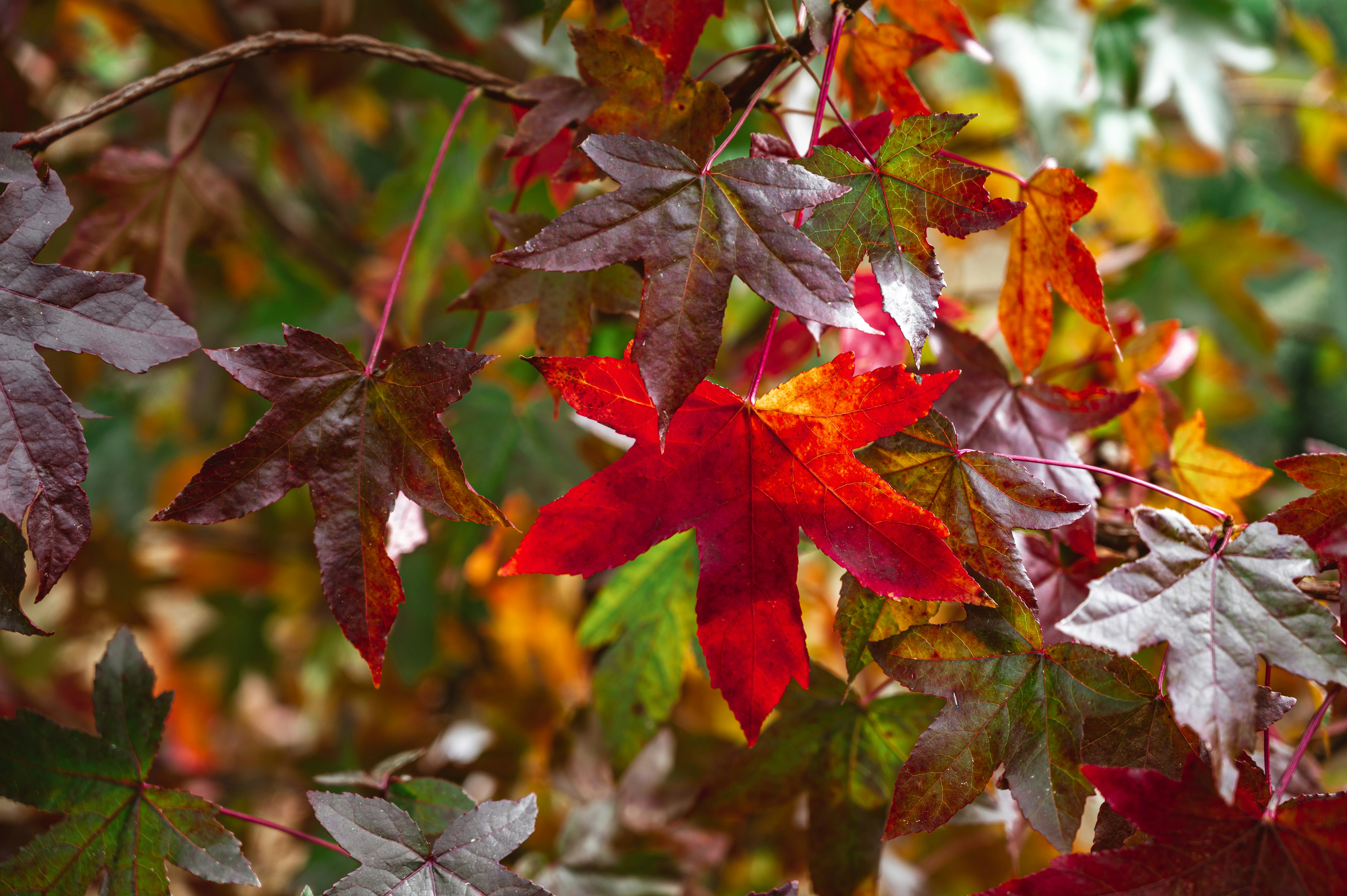 Photo by andreasbrun