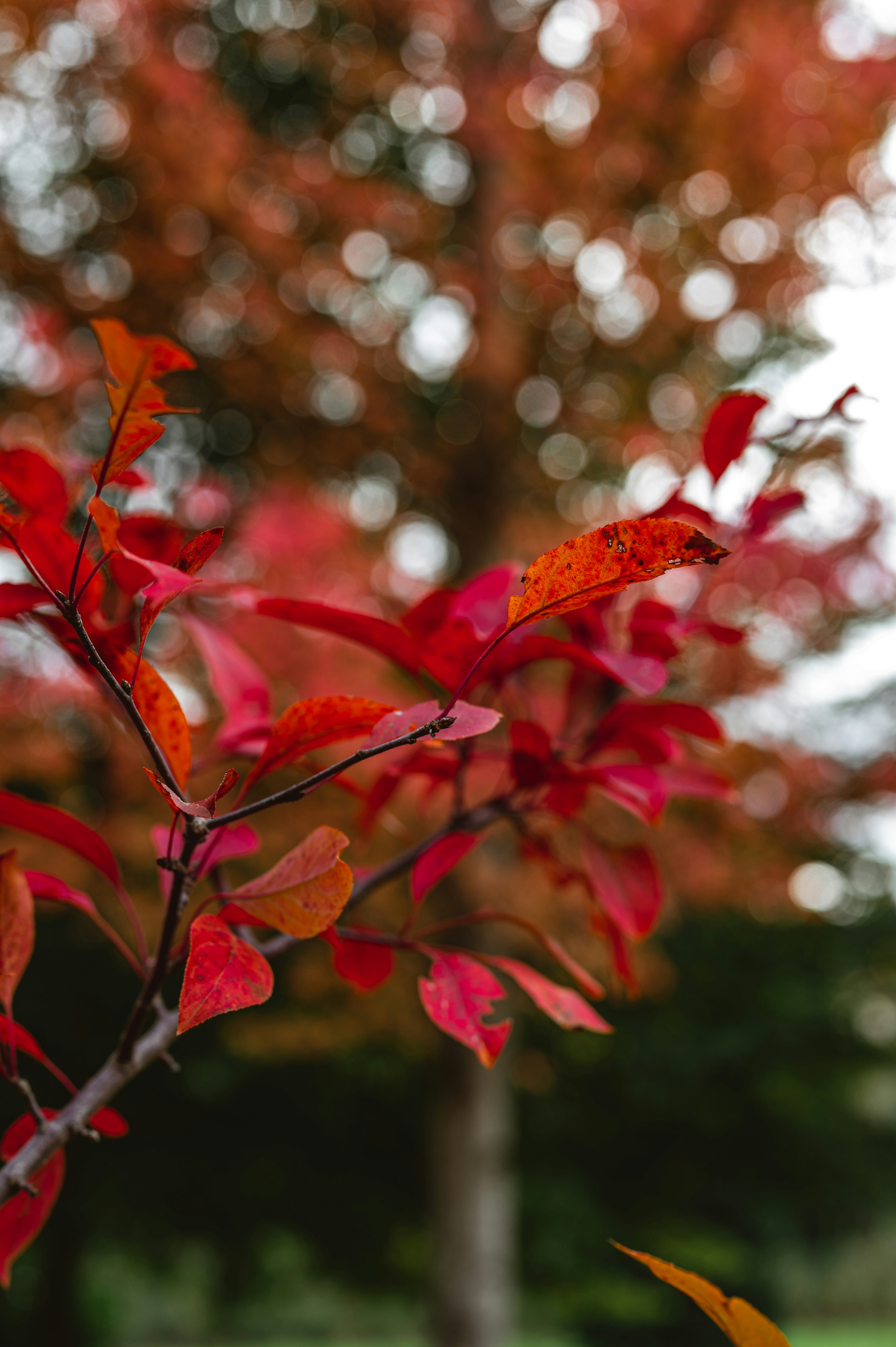 Photo by andreasbrun