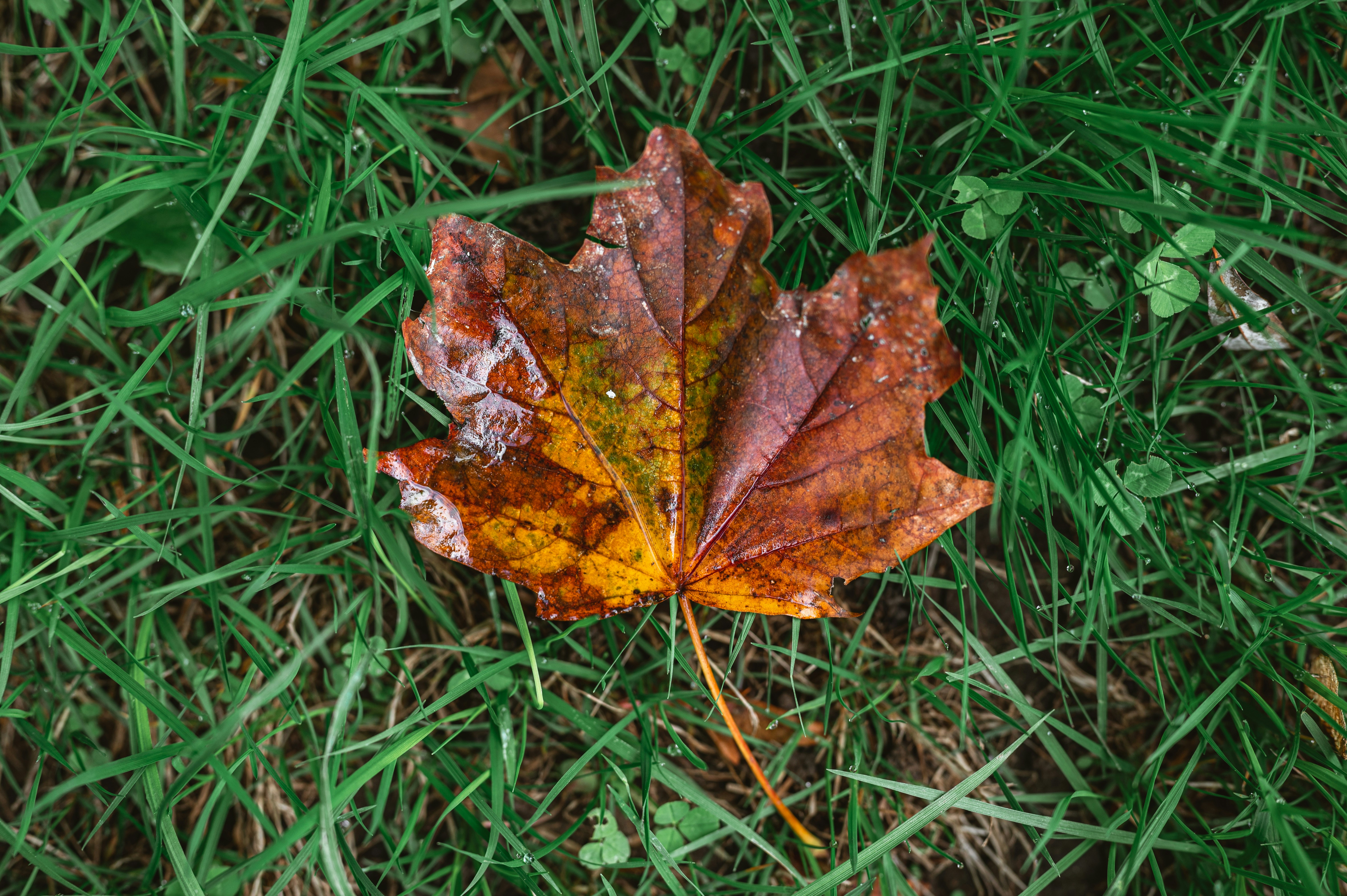 Photo by andreasbrun