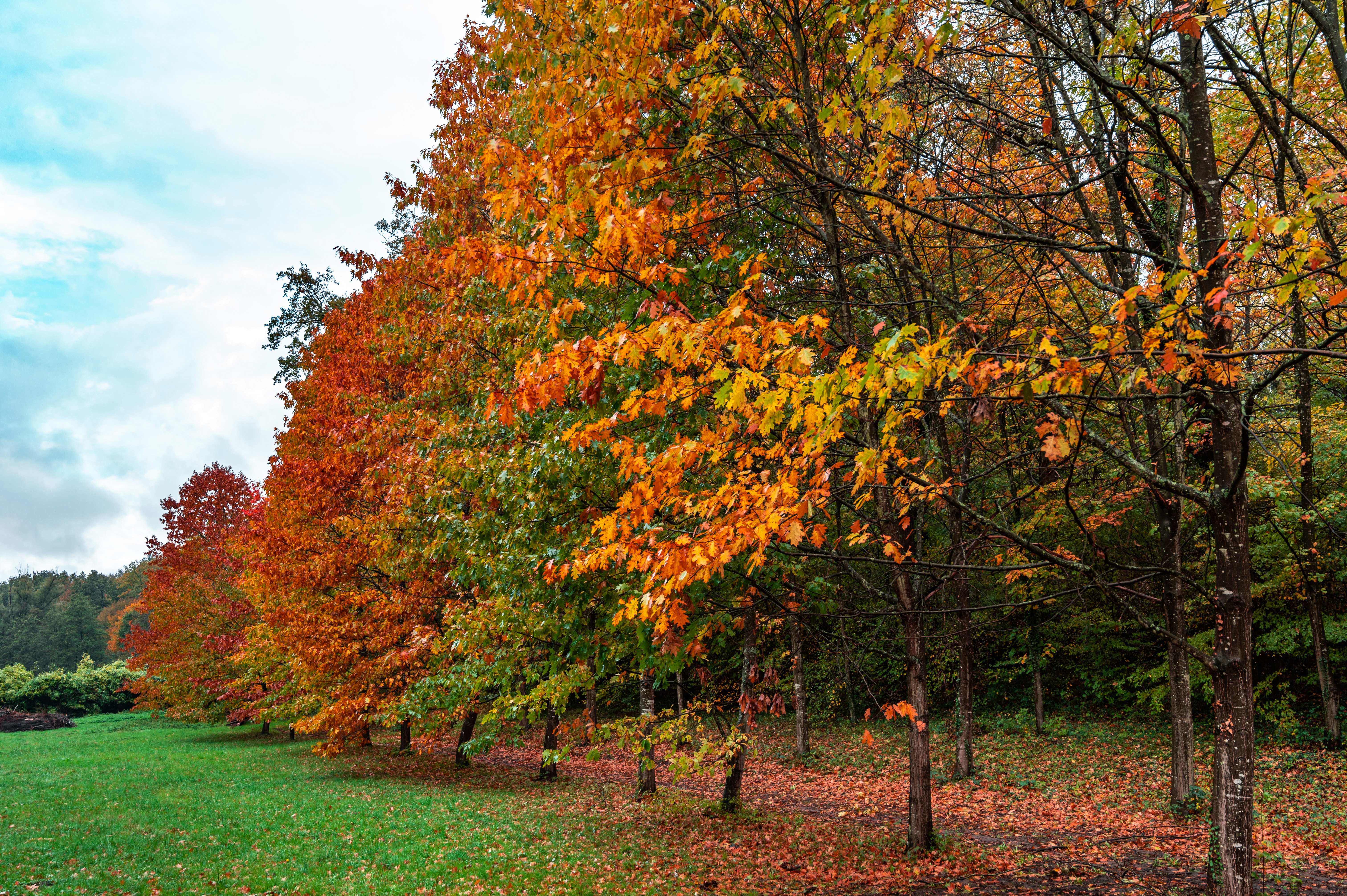 Photo by andreasbrun