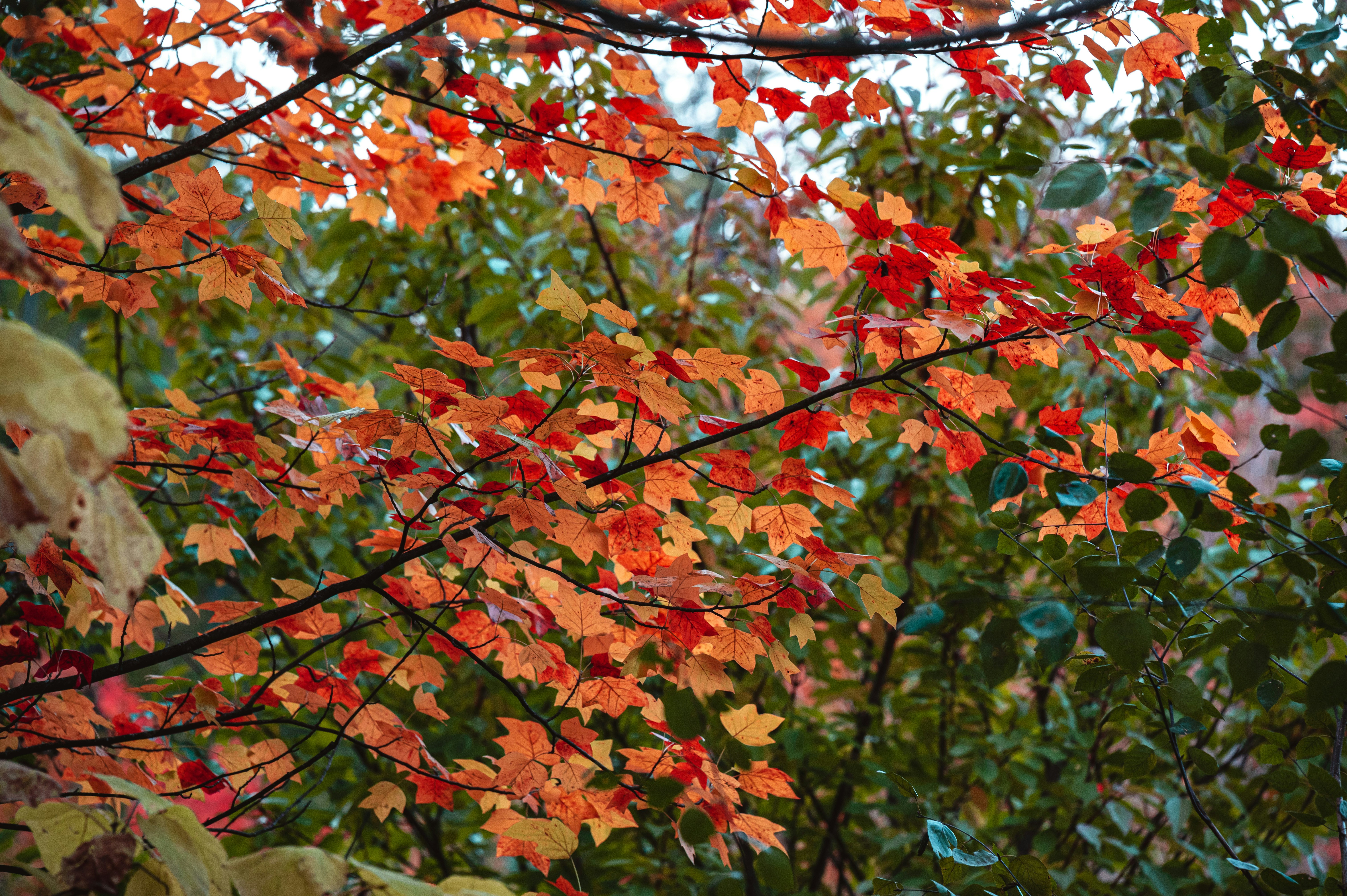 Photo by andreasbrun