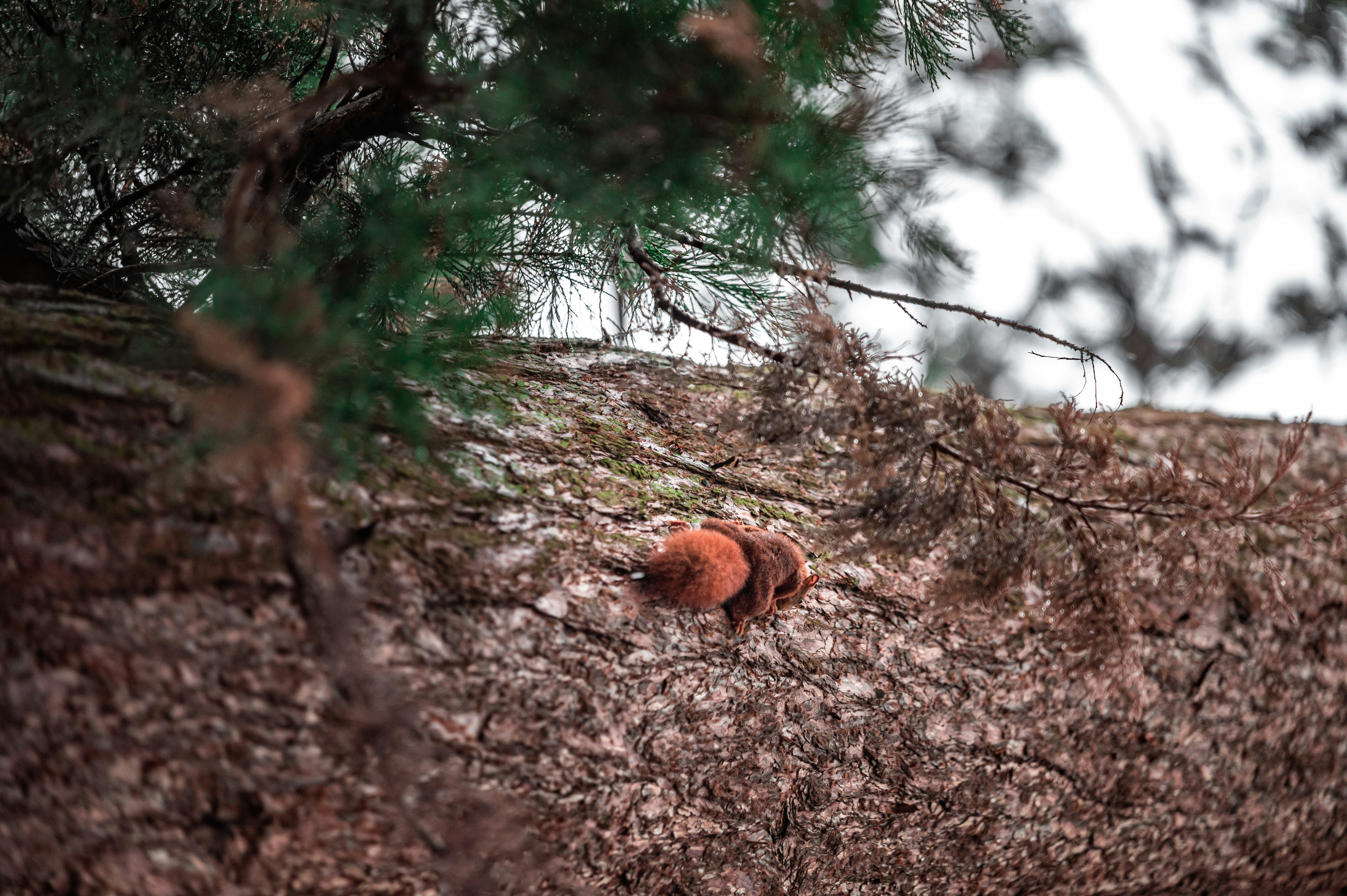 Photo by andreasbrun