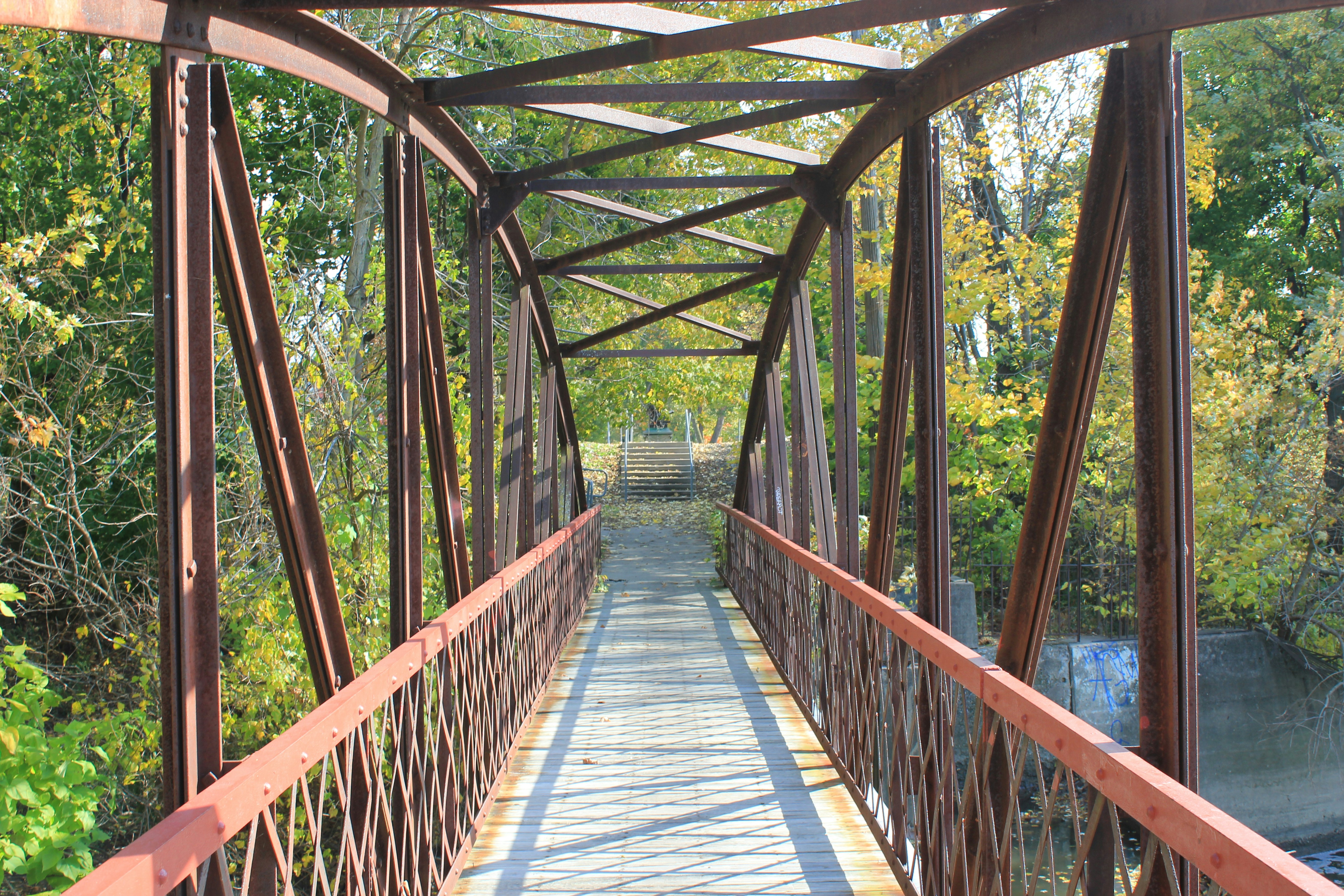 Photo by mrgreatheart