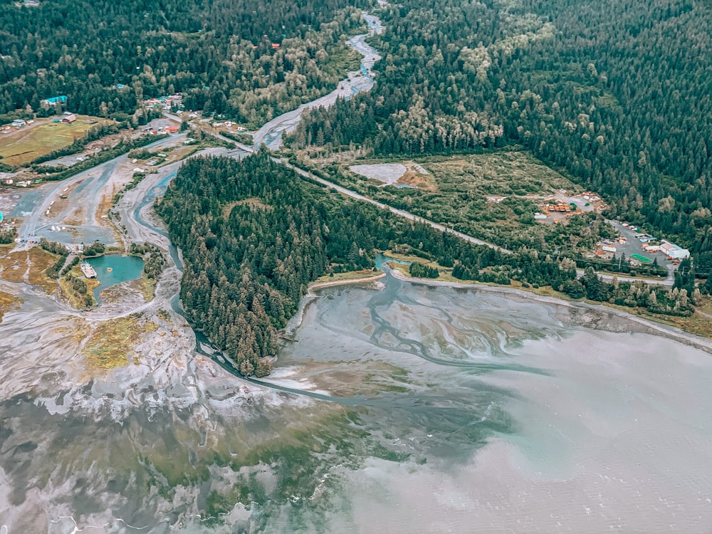 aerial view of green trees and river