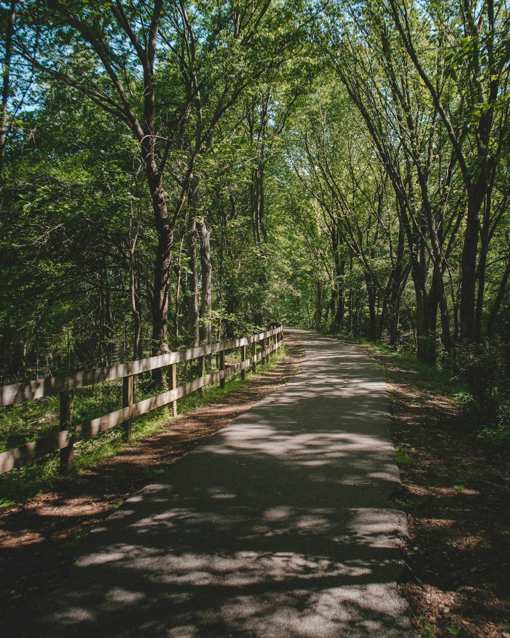 brown wooden fence near green trees during daytime