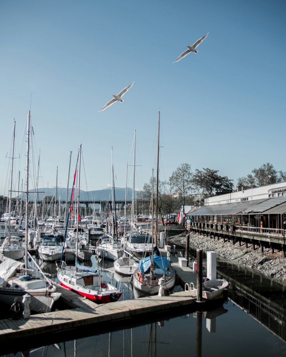 Weiße und braune Boote legen tagsüber an