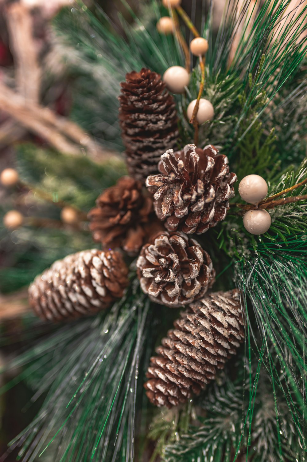 brown pine cone on green leaves