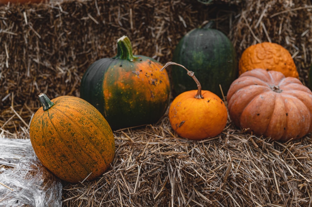 orange and green pumpkin on brown hay