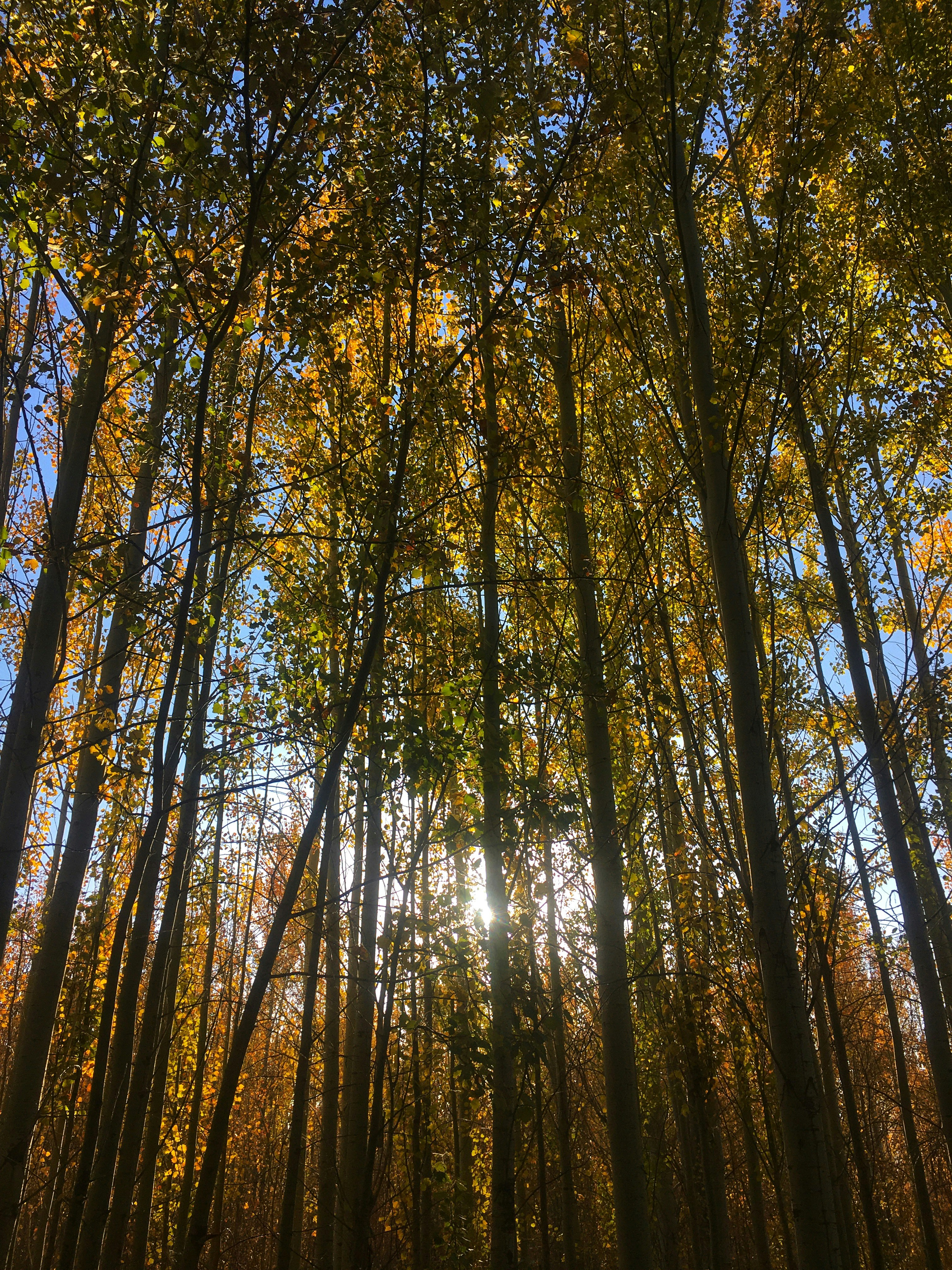 Photo by saaraaheidarii