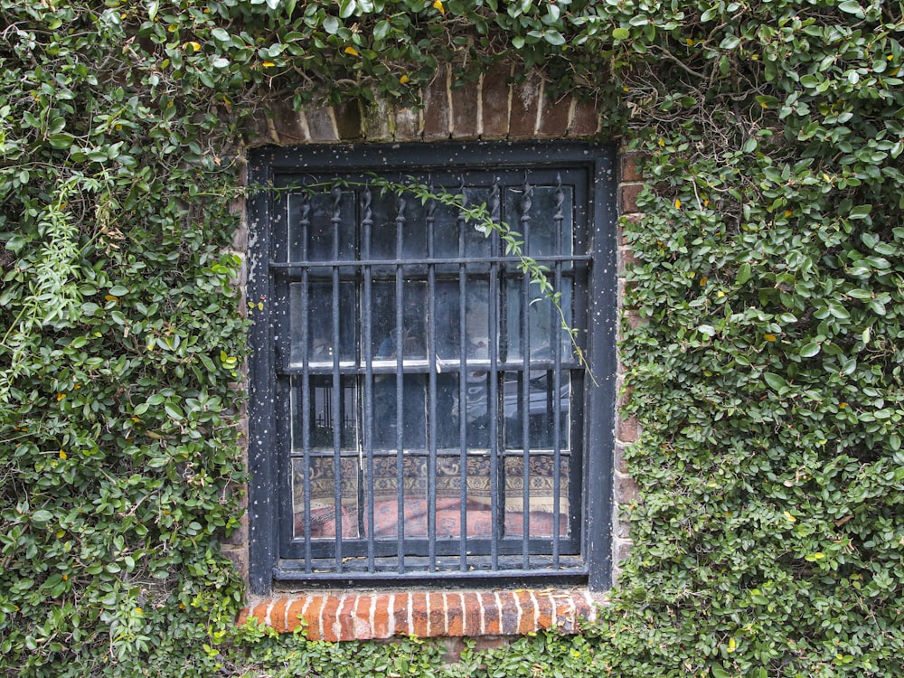 black metal window frame on brown brick wall