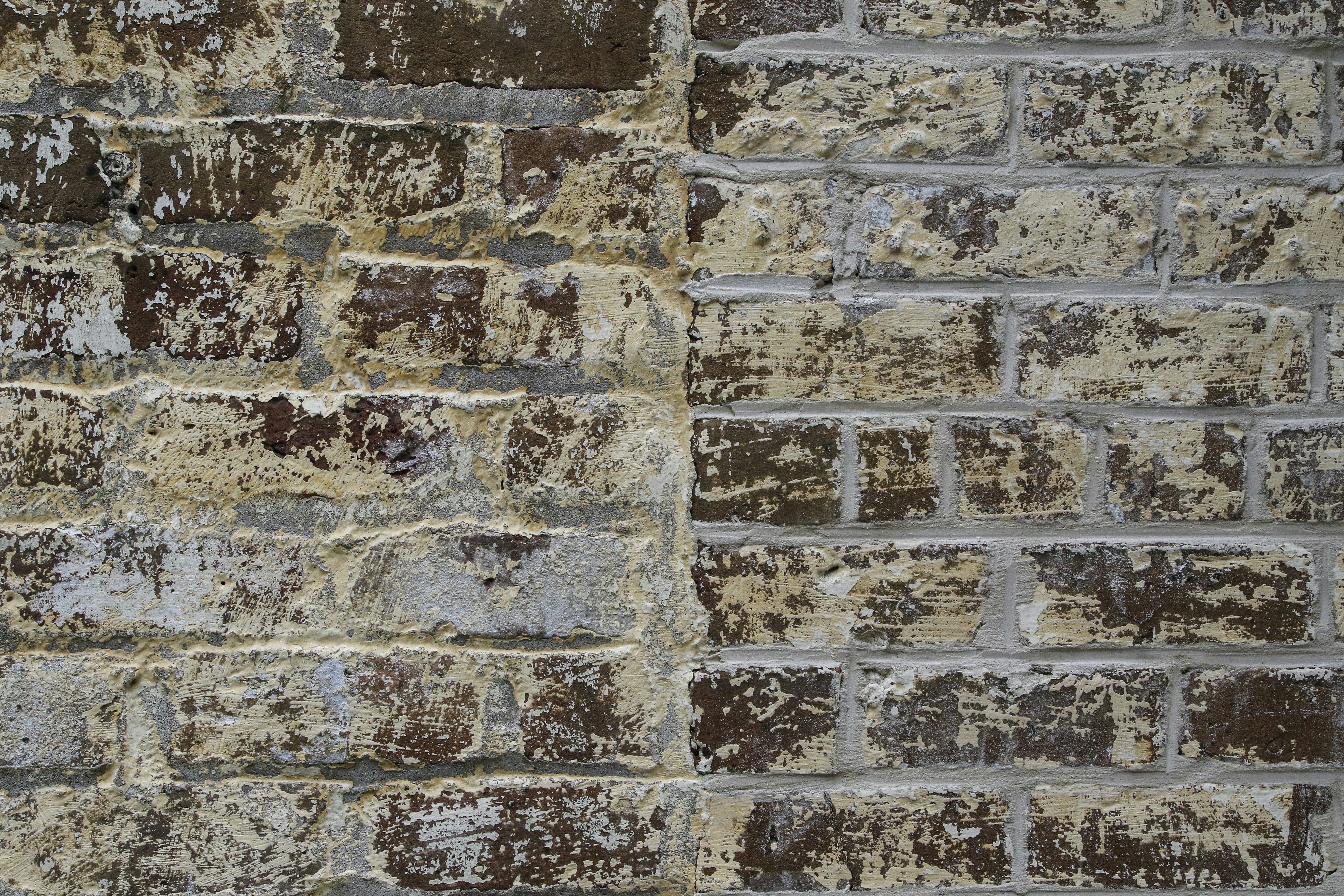 Photo by rocinante_11